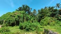 Lots of Green Trees, a Rock and a Blue Sky