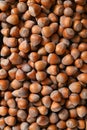 lots of hazelnuts food background Royalty Free Stock Photo