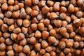 lots of hazelnuts food background Royalty Free Stock Photo
