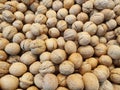 Lots of inshell walnuts.  Brown walnuts are heaped in a large pile after harvest. Royalty Free Stock Photo