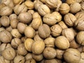 The lots of inshell walnuts Royalty Free Stock Photo