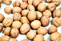 Lots of inshell Walnuts on white background Royalty Free Stock Photo
