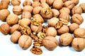 Lots of inshell Walnuts on white background Royalty Free Stock Photo