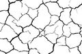 Lots lines of crack ground for abstract background on white background