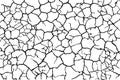 Lots lines of crack ground for abstract background on white background