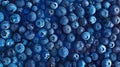 Water drops on ripe sweet blueberries. Fresh blueberry background. Vegan and vegetarian concept. Blueberry berry texture Royalty Free Stock Photo