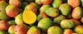 Lots of mangoes with halved mangoes in a pile Royalty Free Stock Photo