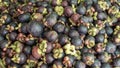 Lots of mangosteen ready for sell Royalty Free Stock Photo