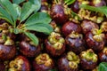 Lots of mangosteen fruit Royalty Free Stock Photo