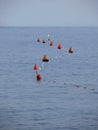 Lots of mooring buoys floating on water in marina. Small boat visible at the top of image. Calm water with small waves