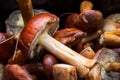 Lots of mushrooms scattered on the wooden table Royalty Free Stock Photo