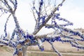 A lots of Nazar amulets from the evil eye on a tree in a sacred place in Turkey Royalty Free Stock Photo