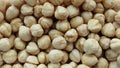 Hazelnut. Background from nuts. Royalty Free Stock Photo