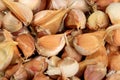 Lots of organically grown garlic cloves on a white background