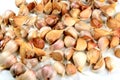 Lots of organically grown garlic cloves on a white background