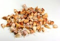 Lots of organically grown garlic cloves on a white background