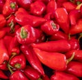 Lots of organically grown red bell peppers