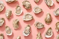 lots of oysters on a plate, in the style of nature-based patterns,