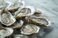 lots of oysters on a plate, in the style of nature-based patterns,