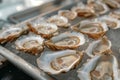 lots of oysters on a plate, in the style of nature-based patterns,