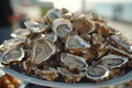 lots of oysters on a plate, in the style of nature-based patterns,