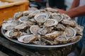 lots of oysters on a plate, in the style of nature-based patterns,