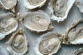 lots of oysters on a plate, in the style of nature-based patterns,