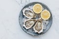 lots of oysters on a plate, in the style of nature-based patterns,