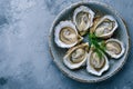 lots of oysters on a plate, in the style of nature-based patterns,