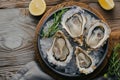 lots of oysters on a plate, in the style of nature-based patterns,