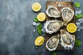 lots of oysters on a plate, in the style of nature-based patterns,