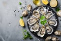 lots of oysters on a plate, in the style of nature-based patterns,