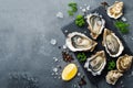 lots of oysters on a plate, in the style of nature-based patterns,