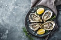 lots of oysters on a plate, in the style of nature-based patterns,