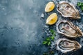 lots of oysters on a plate, in the style of nature-based patterns,