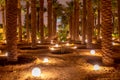 Lots of palms illuminated at night, Diriyah, Riyadh Royalty Free Stock Photo