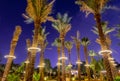 Lots of palms illuminated at night, Diriyah, Riyadh Royalty Free Stock Photo