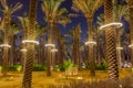 Lots of palms illuminated at night, Diriyah, Riyadh Royalty Free Stock Photo