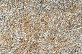 Lots of peeled roasted sunflower seeds. View from top. Texture, background, close-up Royalty Free Stock Photo