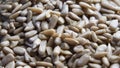 Lots of peeled sunflower seeds close-up, full frame Royalty Free Stock Photo