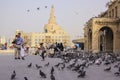 Lots of pigeons and local people in Doha