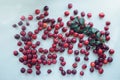 Lots of plums on a blue background. a bunch of fruit scattered on the table Royalty Free Stock Photo