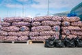 Lots of potatoes in mesh bags on pallets for sale at a farmer\'s market. Vegetable trade