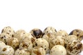 Lots quail eggs white background. Royalty Free Stock Photo