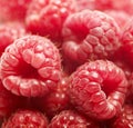 Lots of raspberries Royalty Free Stock Photo