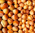Lots of raw, pealed and unpealed hazelnuts on a table