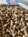 lots of raw peanuts Royalty Free Stock Photo