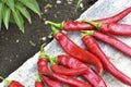 Lots of red fresh chili peppers on the concrete floor Royalty Free Stock Photo