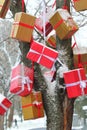 Lots of red and golden present boxes hanging on winter tree. Outdoor holiday decor Royalty Free Stock Photo