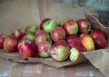 Lots of red and green apples on craft brown paper close up Royalty Free Stock Photo